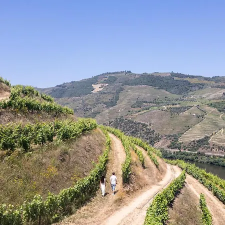 Alloggio per agriturismo Quinta Da Coitada - Local Soutelo do Douro