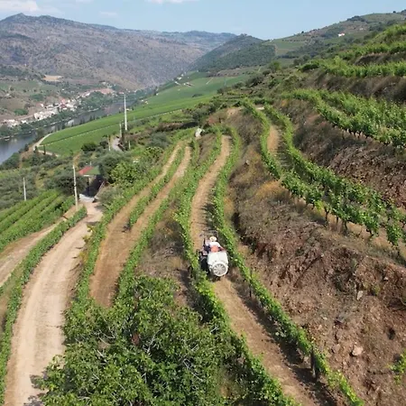 Quinta Da Coitada - Local * Soutelo do Douro