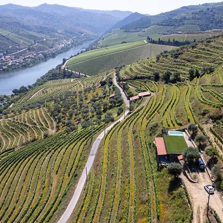 Quinta Da Coitada - Local *