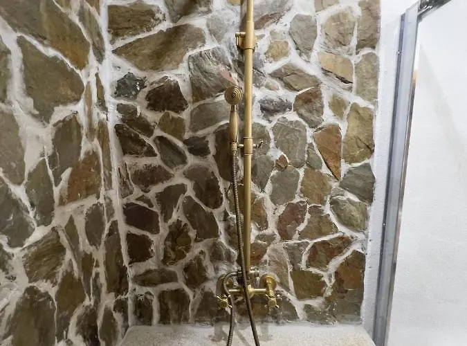 Gospodarstwo agroturystyczne Quinta Da Coitada - Local