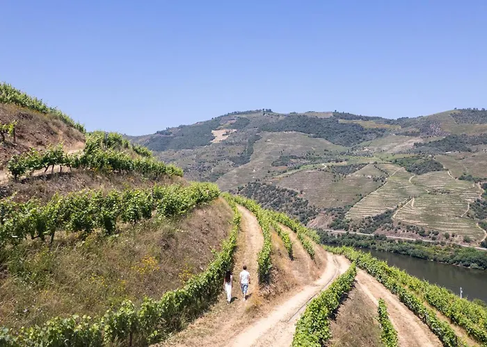 Gospodarstwo agroturystyczne Quinta Da Coitada - Local Soutelo do Douro