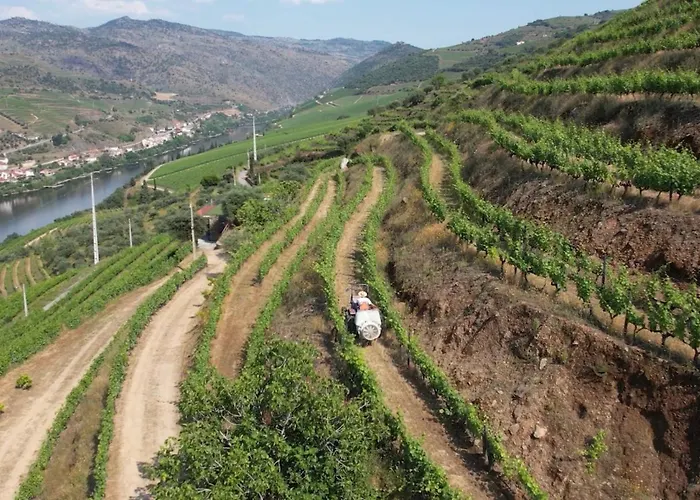 Quinta Da Coitada - Local * Soutelo do Douro