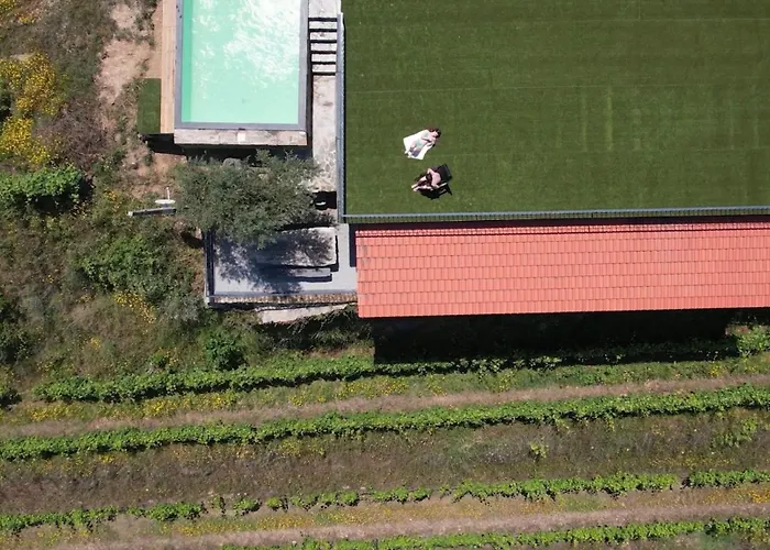 Quinta Da Coitada - Local